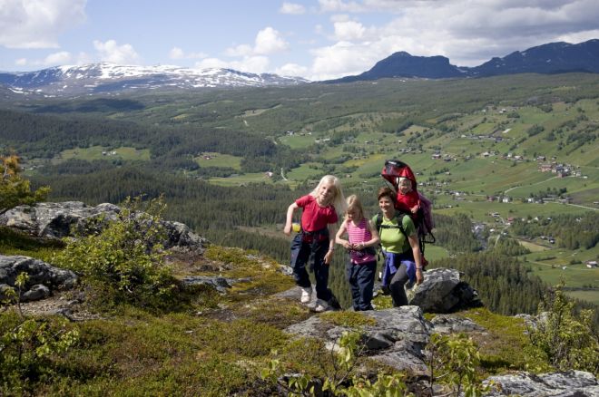 Haugsnatten. Photo Bård Svardal Haugsnatten. Photo Bård Svardal